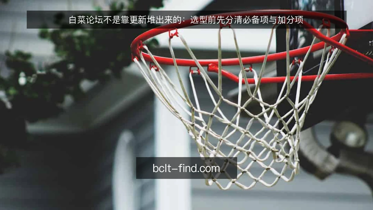 白菜论坛不是靠更新堆出来的：选型前先分清必备项与加分项