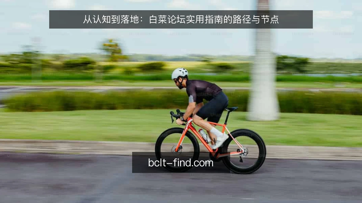 从认知到落地:白菜论坛实用指南的路径与节点