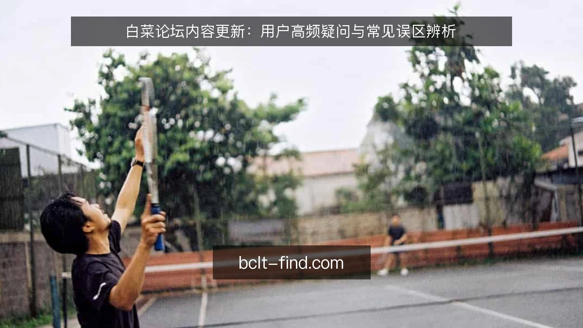 白菜论坛内容更新：用户高频疑问与常见误区辨析