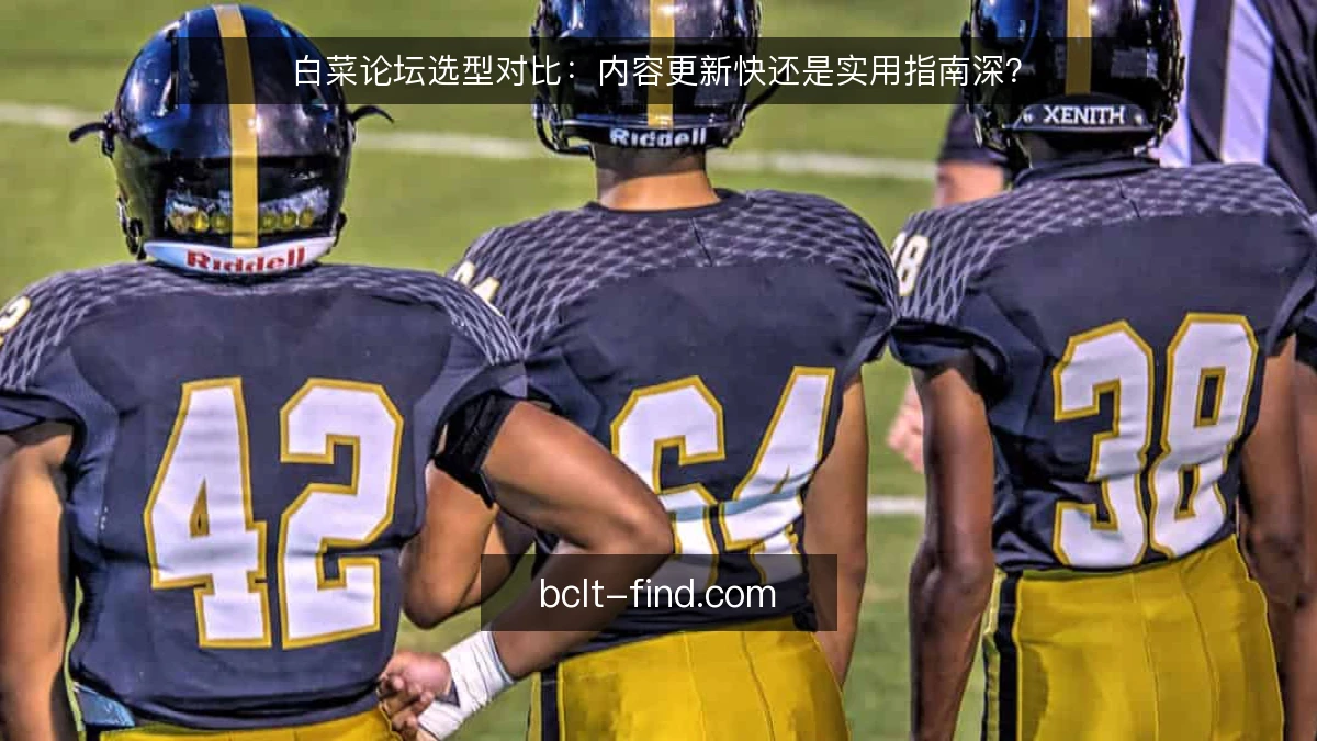 白菜论坛选型对比：内容更新快还是实用指南深？
