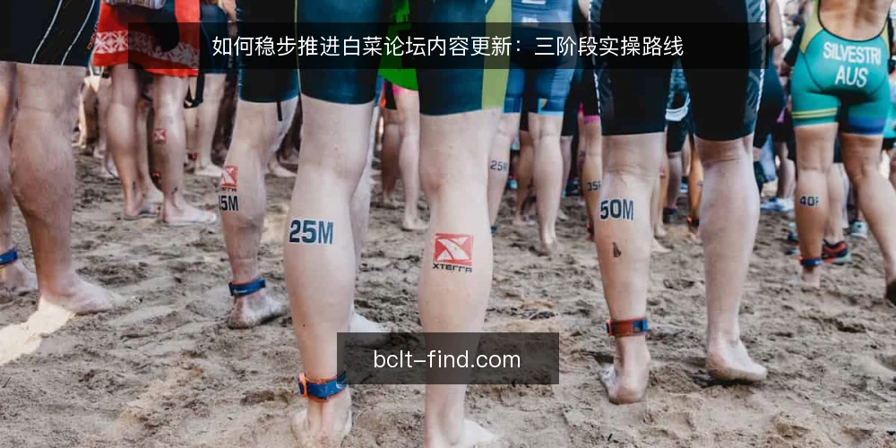 如何稳步推进白菜论坛内容更新:三阶段实操路线 — 更新前的基础准备 配图