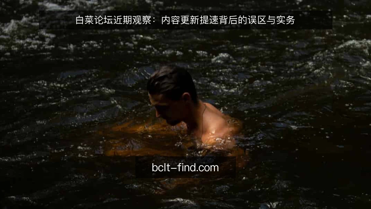 白菜论坛近期观察:内容更新提速背后的误区与实务