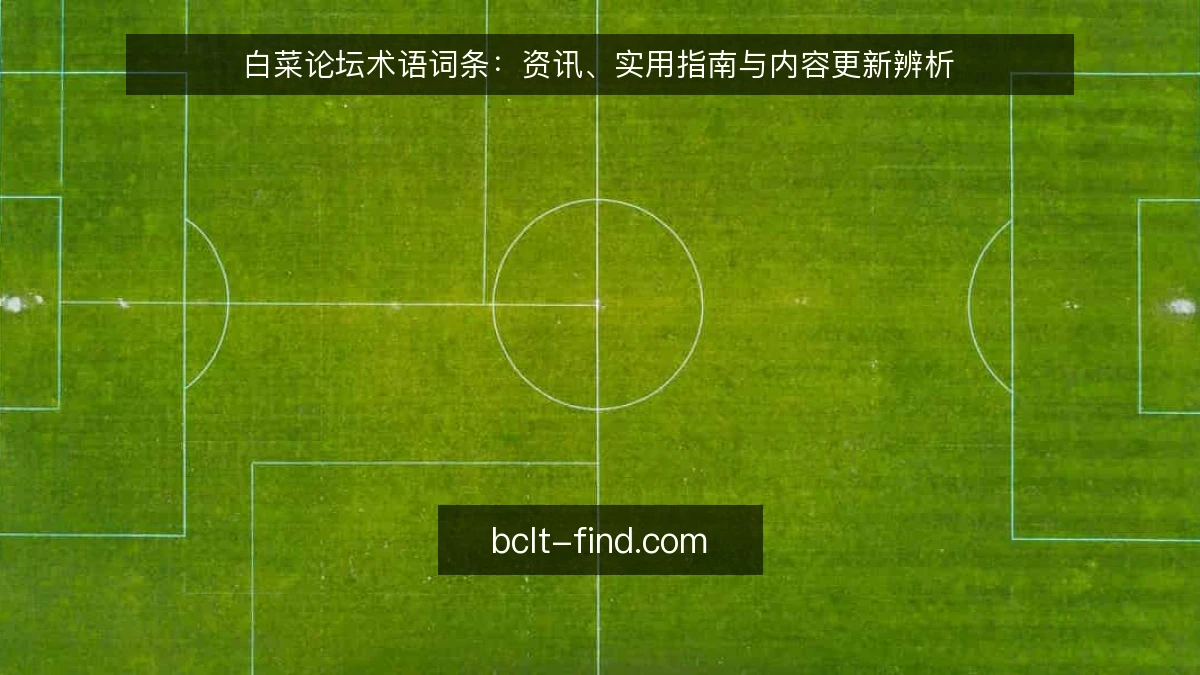 白菜论坛术语词条：资讯、实用指南与内容更新辨析