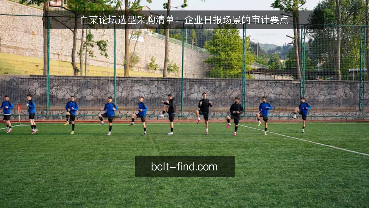 白菜论坛选型采购清单：企业日报场景的审计要点