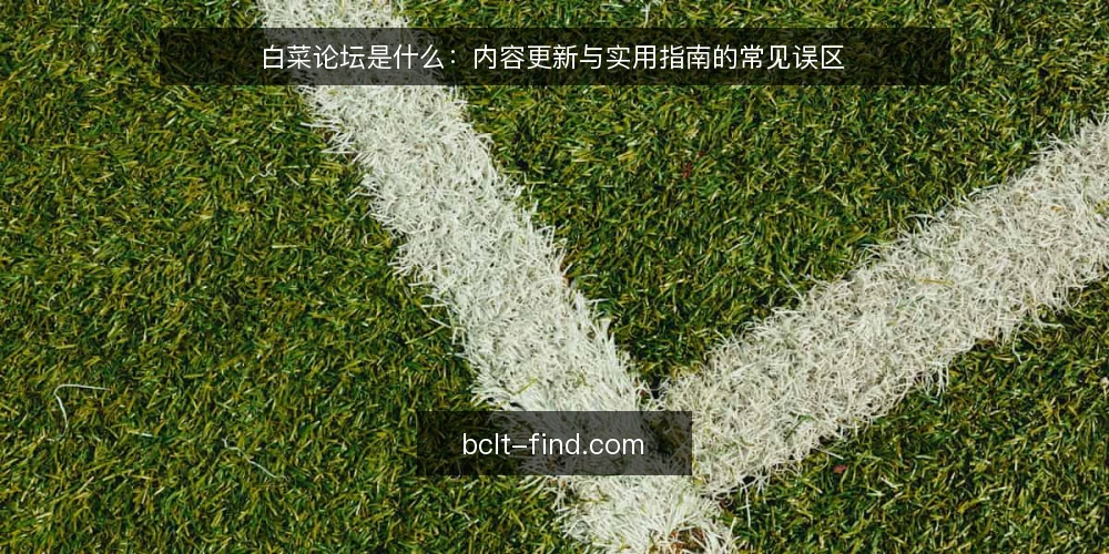 白菜论坛是什么：内容更新与实用指南的常见误区 — 白菜论坛是什么：定义与运行原理 配图